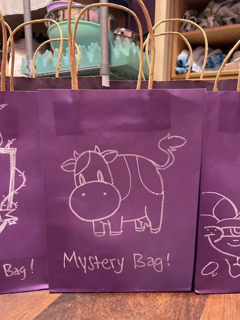 ONE OF A KIND Mystery Bag