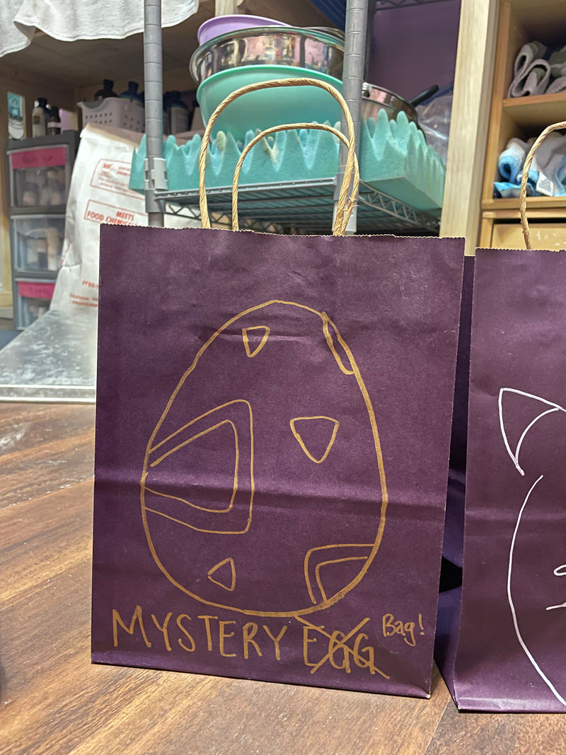 ONE OF A KIND Mystery Bag